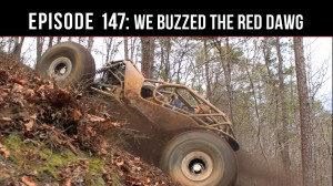 Buzz to the Red Dawg