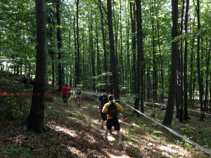 2015-isde-team-usa-test-walking