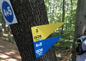 2015-isde-team-usa-test-arrows