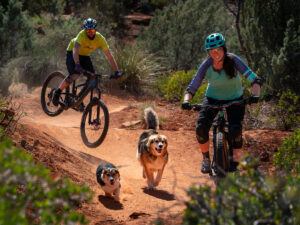 mountain biking family with two trail dgos