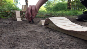 backyard trails to be creative