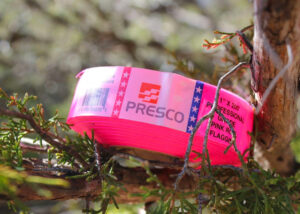 Presco pink flagging ribbon sitting on a tree branch.